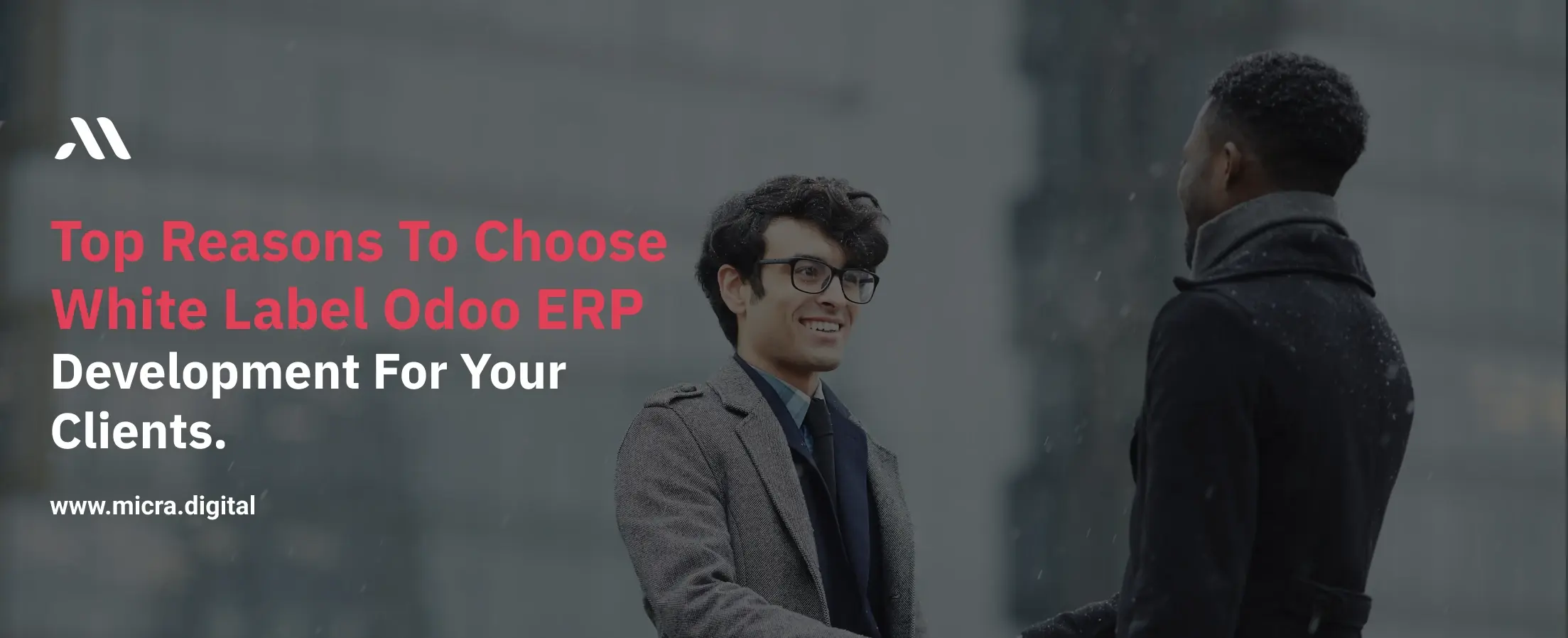 Top Reasons to Choose White Label Odoo ERP Development for Your Clients.